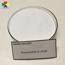 mejor regulador de crecimiento de plantas de agroquímicos brassinolide 01sp en agricultura